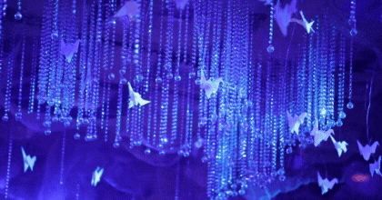 Banner de Decoración